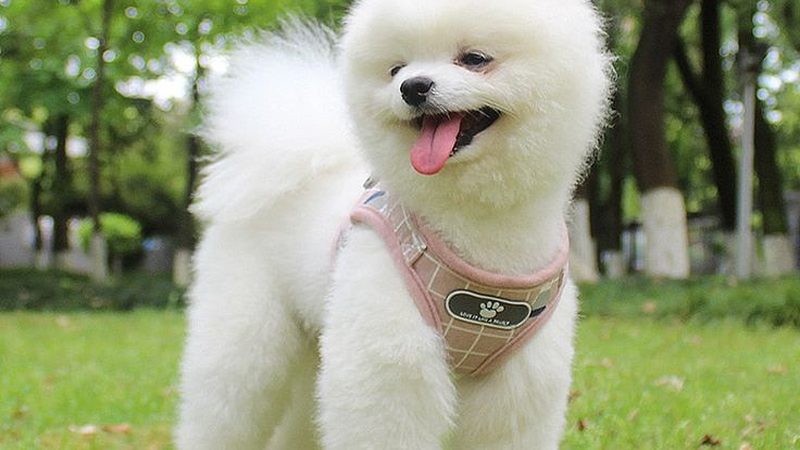冷库安装合同有哪些关键条款不能漏
